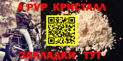 шишки Донской